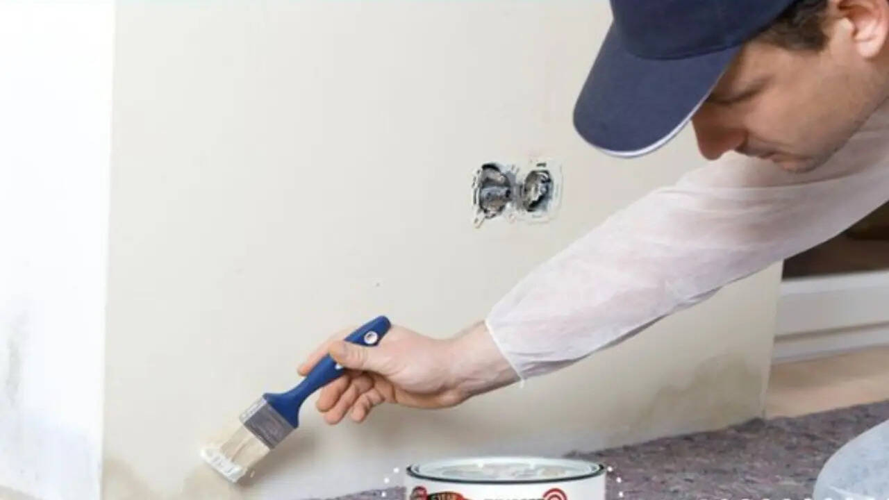 Home wellness expert reveals why painting over mould creates a 'paint-film petri dish' that allows spores to spread invisibly behind walls. Home wellness expert reveals why painting over mould creates a 'paint-film petri dish' that allows spores to spread invisibly behind walls.