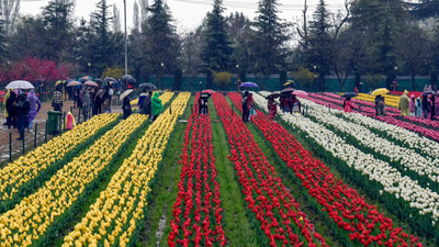 Image: ANI Wards to flowers: Tulip Garden trip for young cancer fighters