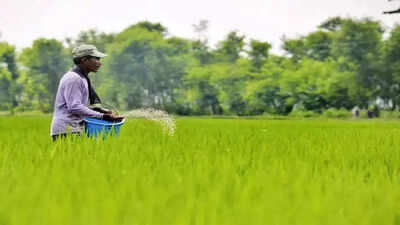 Representative Image India seeks 2.5 million metric tons of urea amid Middle East supply amid Hormuz supply hit