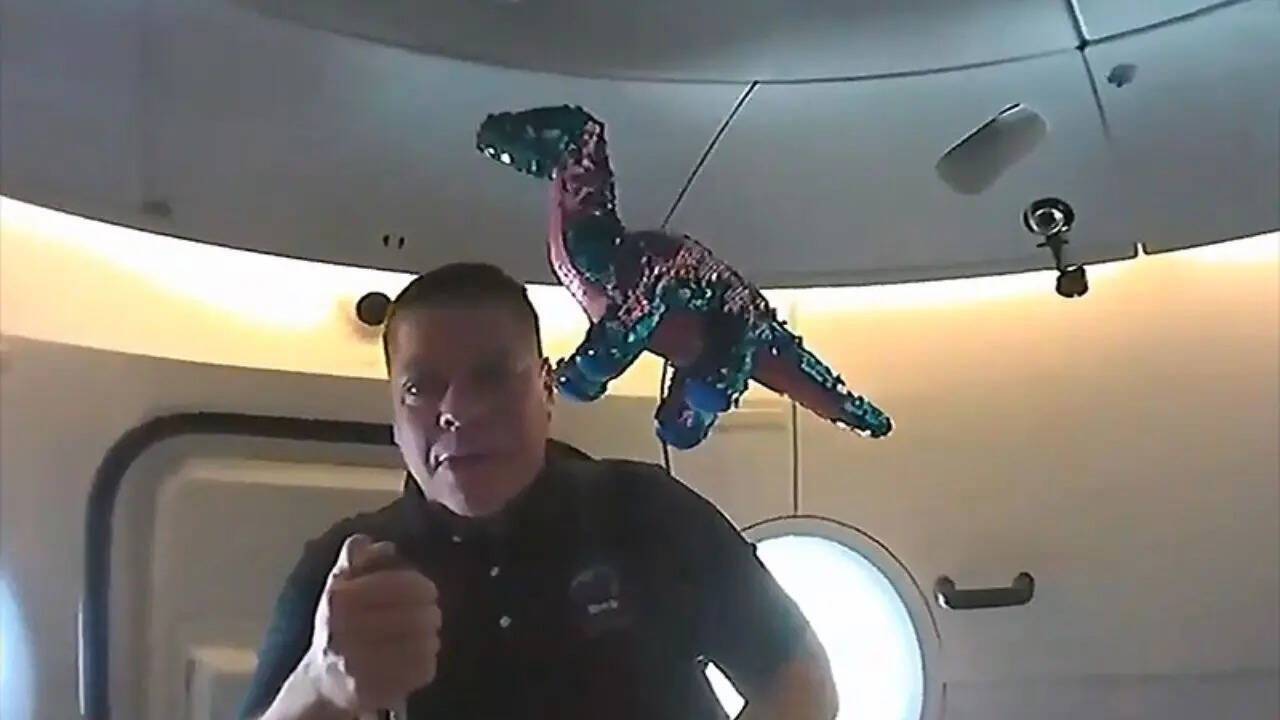 Tremor the Dinosaur: SpaceX Demo Mission